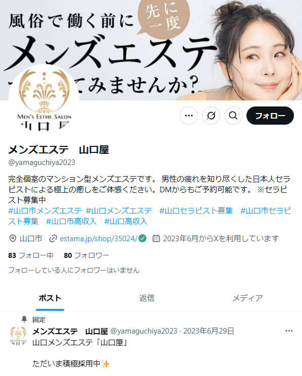 公式X
